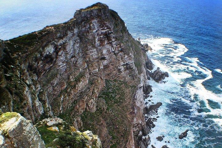 Cape Peninsula Tour - photo 2