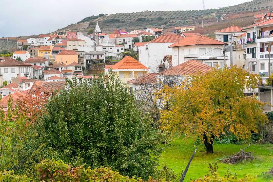 Walk & Lunch at our village - photo 4