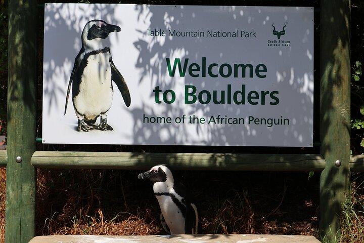 Table Mountain Boulder's Beach and Cape Point Tour - photo 5