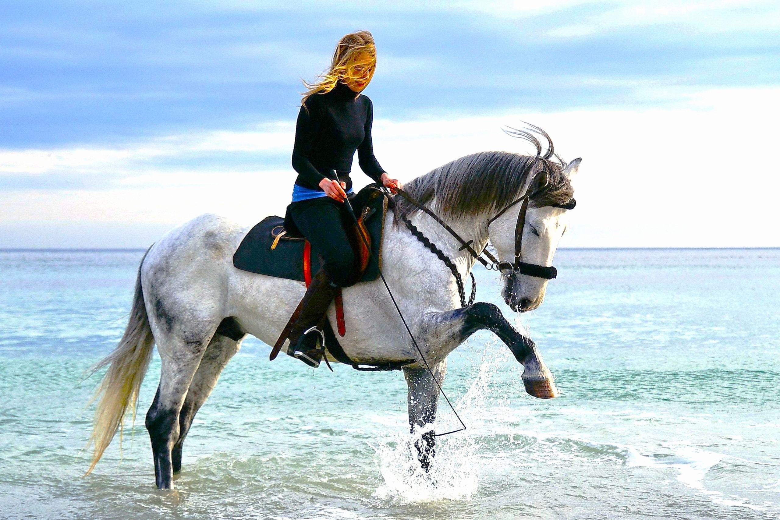 1-Hour Sea Horse Riding Sharm El Sheikh Desert Safari - photo 2