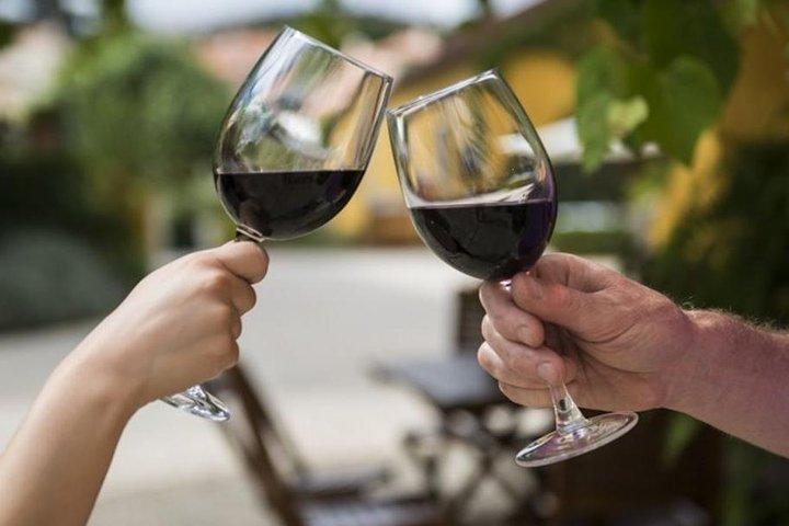 Wine Tasting - Private Half-Day Tour - cover photo