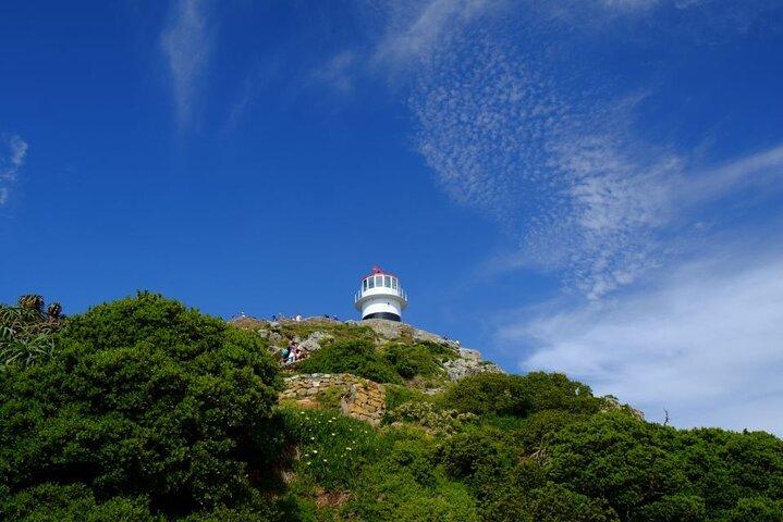 Cape Peninsula Tour - photo 3