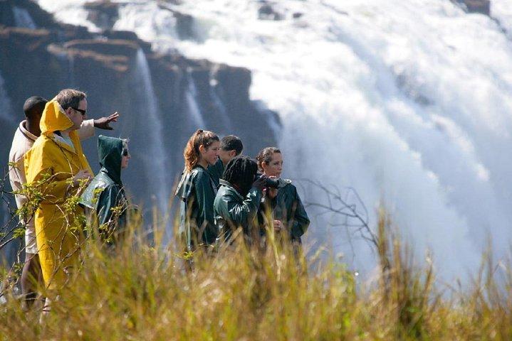 Guided Tour of the Victoria Falls - photo 2