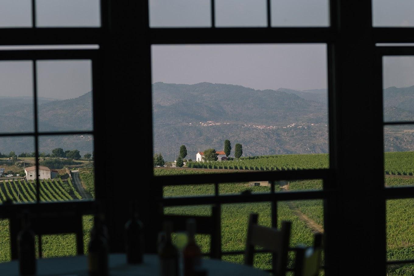 Douro Valley Wine Tour - photo 3