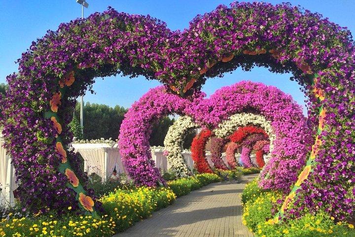 Dubai Miracle Garden with private round trip transfers - photo 4