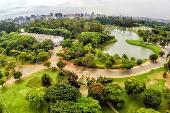 São Paulo Major Tourist Attractions Private Tour: 8-Hour (Santos City Pick-up) - cover photo