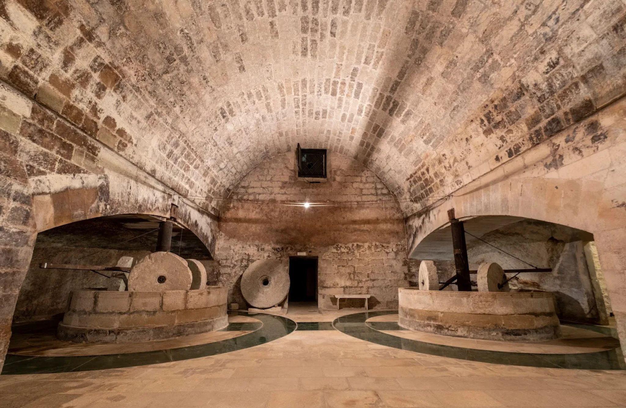 Organic Wine and Olive Oil Tasting Experience near Lecce - photo 3