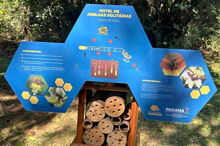 Tour to the State Park of Vila Velha - photo 2