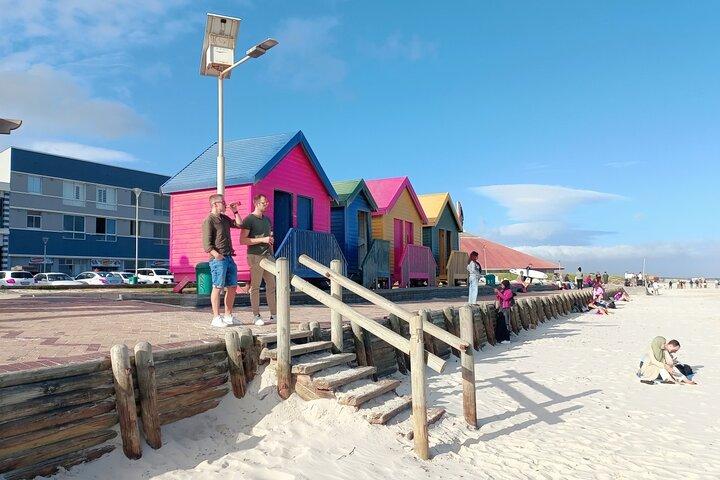 Full-Day Tour to Cape of Good Hope & Penguins from Cape Town - photo 2