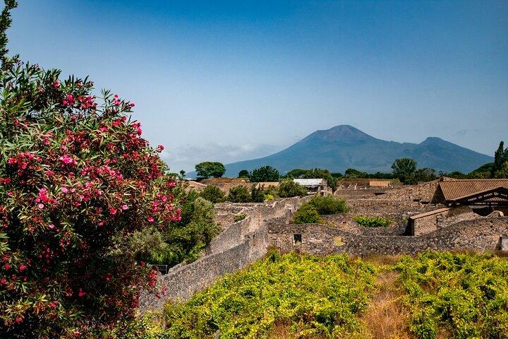 Pompeii, Vesuvius Hike and Wine Tasting with Lunch from Naples - photo 4