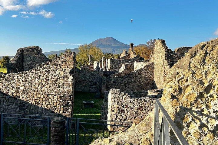 Pompeii with an Archaeologist Shared or Private Tour from Naples - photo 4