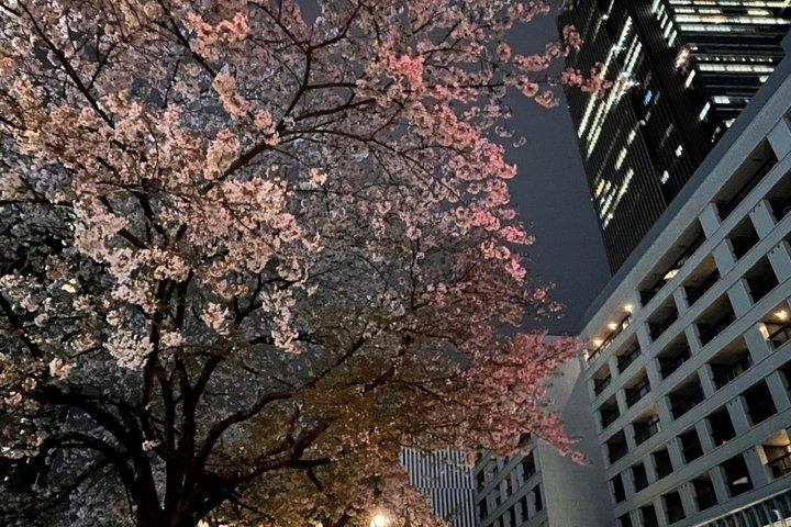 2-Hr Tokyo Night Bike Tour: Shibuya, City Lights & Tokyo Tower - photo 4