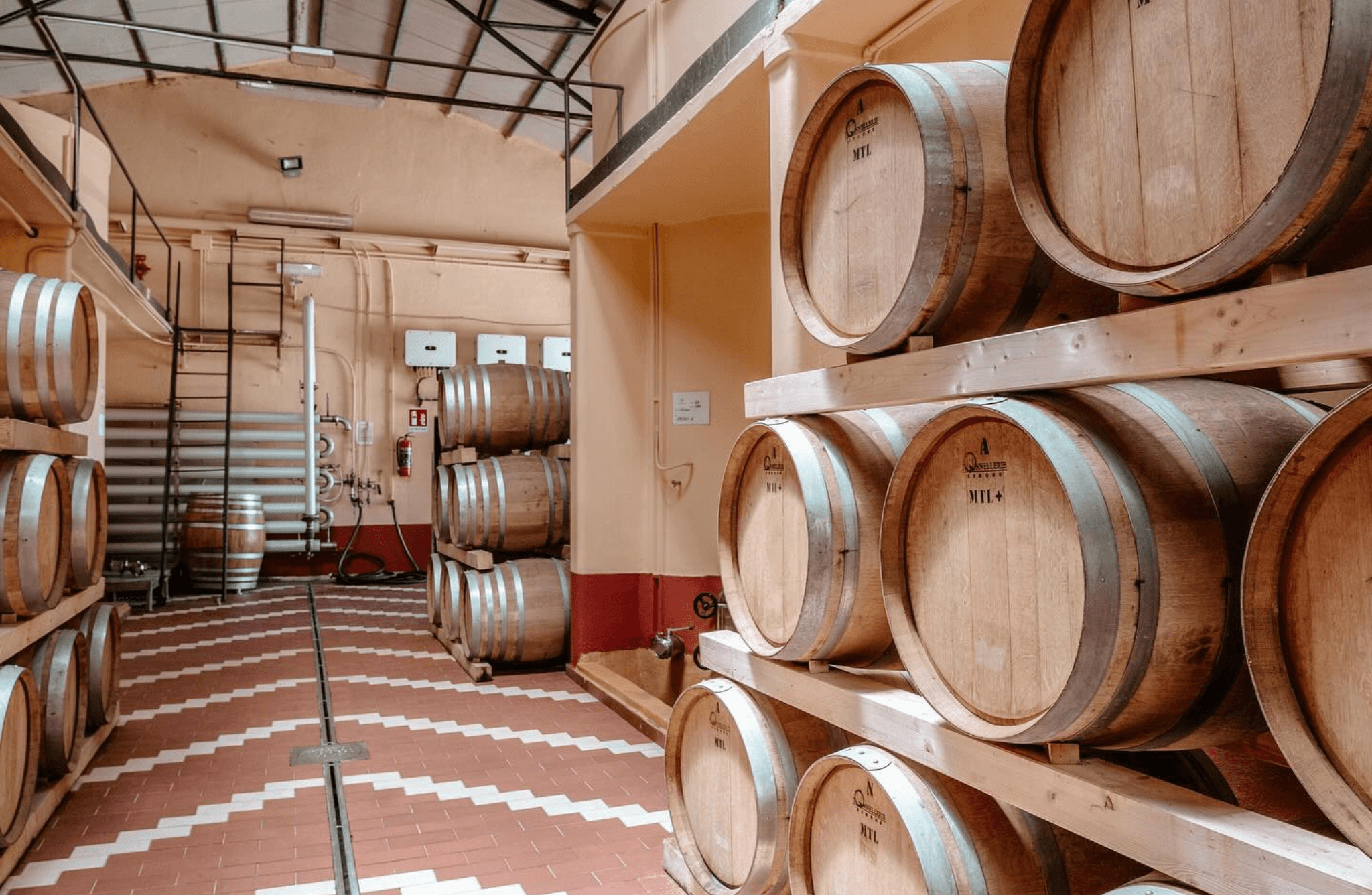 Winery visit & Tasting in Marsala - cover photo
