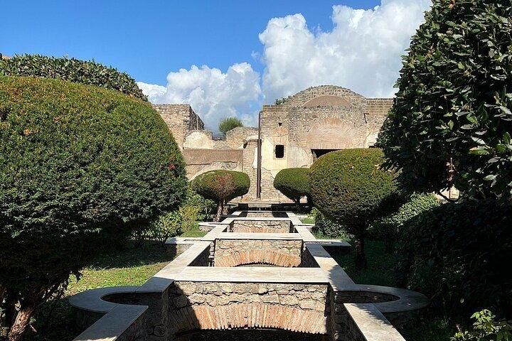 Pompeii with an Archaeologist Shared or Private Tour from Salerno - cover photo
