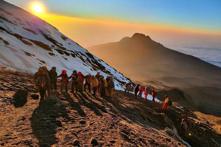 7-Day Kilimanjaro Shira Route | Remote, Scenic & Less Crowded Trek - photo 3