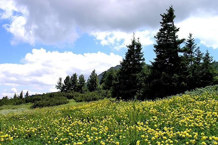 Vitosha Mountains and Cherni Vryh Peak (2290m) - photo 2