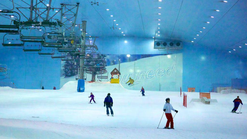Ski Dubai Snow - Plus tour & Desert Safari with BBQ Dinner - photo 3