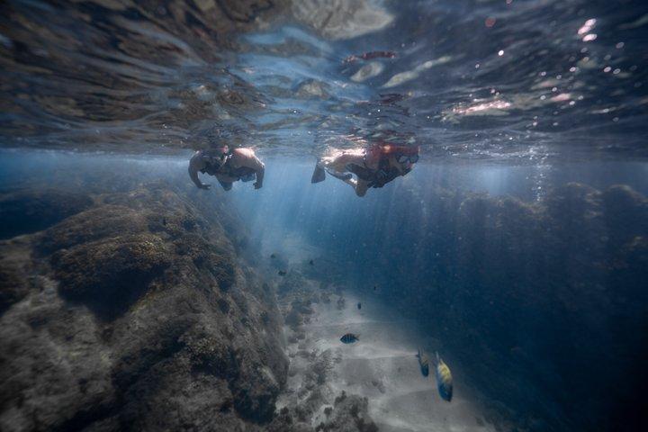 Private Los Cabos snorkeling tour to Chileno bay and Santa Maria cove - photo 3