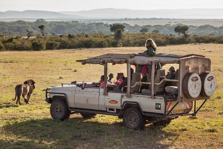 Cape Town 2-Days Luxury Overnight Big Five Safari game Reserve - cover photo