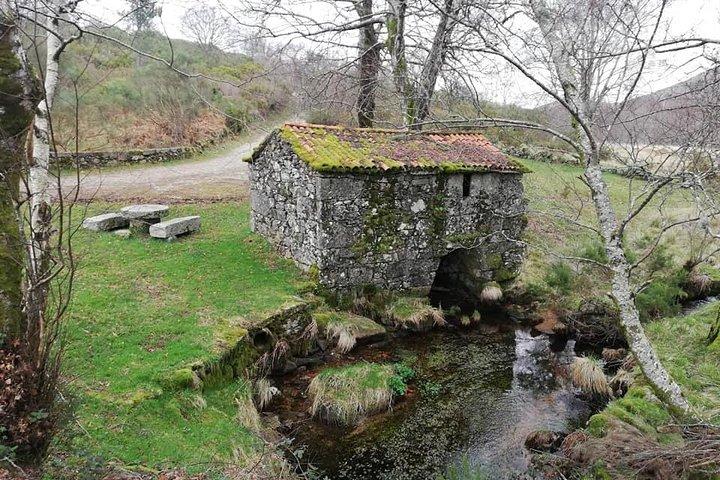 Gerês Park - 2 day with overnight Countryside - Booking signal - photo 5