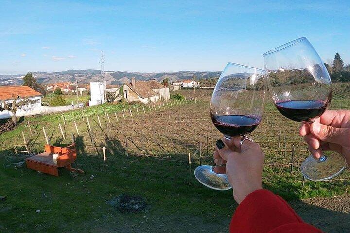 Douro Valley: Small-Group Tour Wine Tasting, Lunch & River Cruise - photo 5