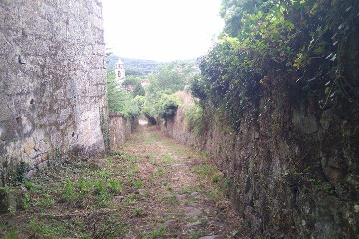 Roman Braga - Half day - Cultural tour - photo 3
