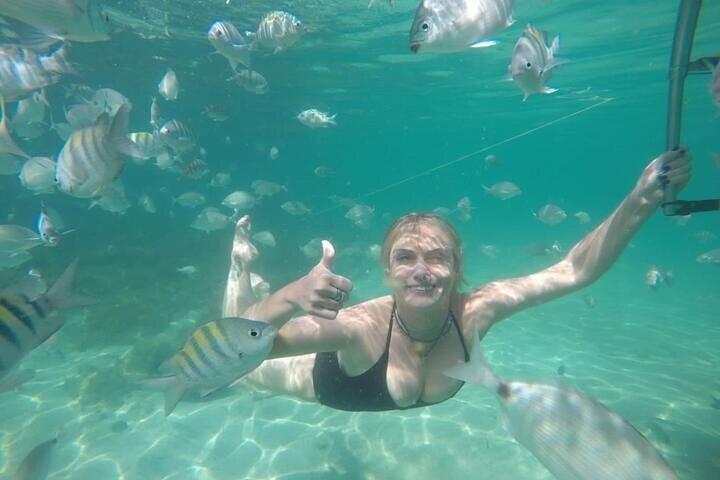 Full-Day Speedboat Tour in Angra and Islands with pick-up in Rio - cover photo