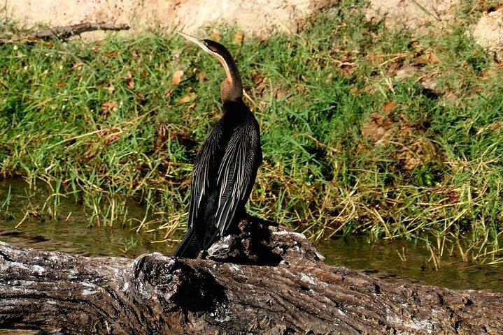 South Africa, Botswana and Zimbabwe Wildlife Adventure - photo 2