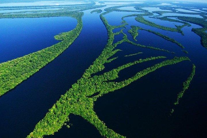 8-Hour Amazonas Jungle Treck & Anavilhanas Archipelago - cover photo