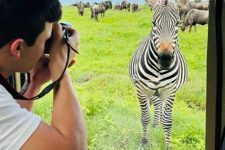 8 days of Safari and Beach Holiday In Tanzania and Zanzibar - cover photo