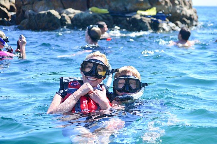 Private Cabo Paddle Board & Snorkel Adventure to the Arch - photo 4