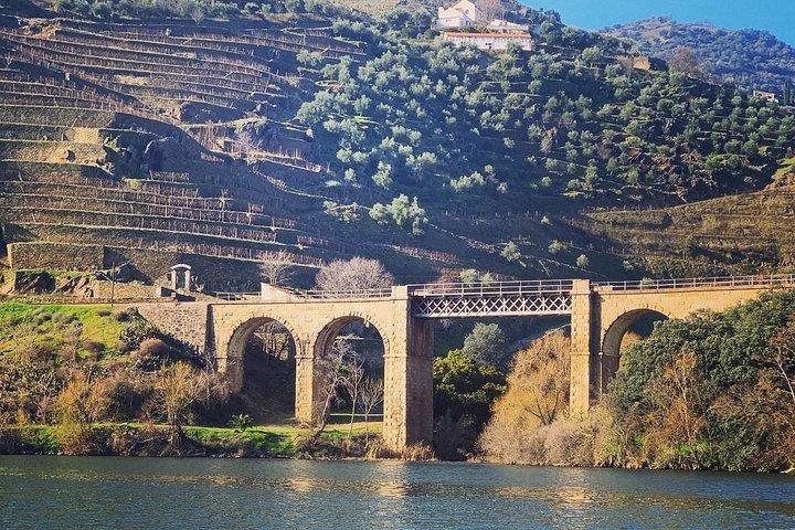 Douro Valley Private Wine and Food Tour From Porto - photo 3