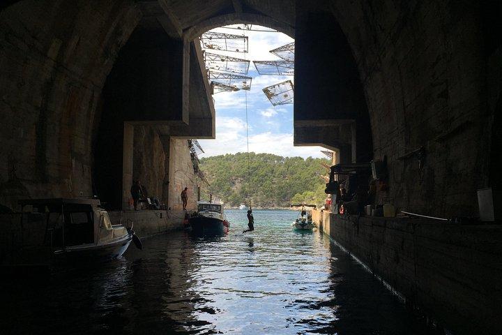 Secrets of Brac and Solta - Off the Beaten Track Croatia - photo 2