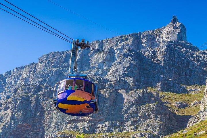 Cape Town , Private Tour: Table Mountain Cable Car & Cape Peninsula Penguins - cover photo