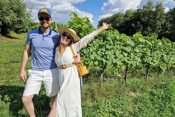 Private Wine Tasting at Vineyard From Krakow - photo 4