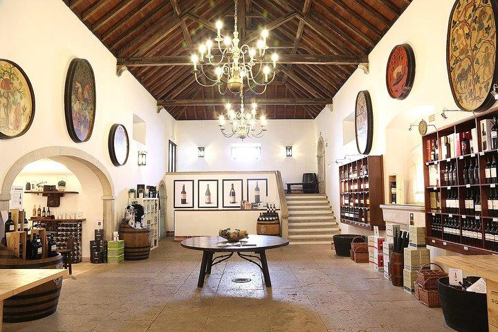 Excursão privada de vinhos em Lisboa com visita a 2 vinícolas e degustação - photo 3