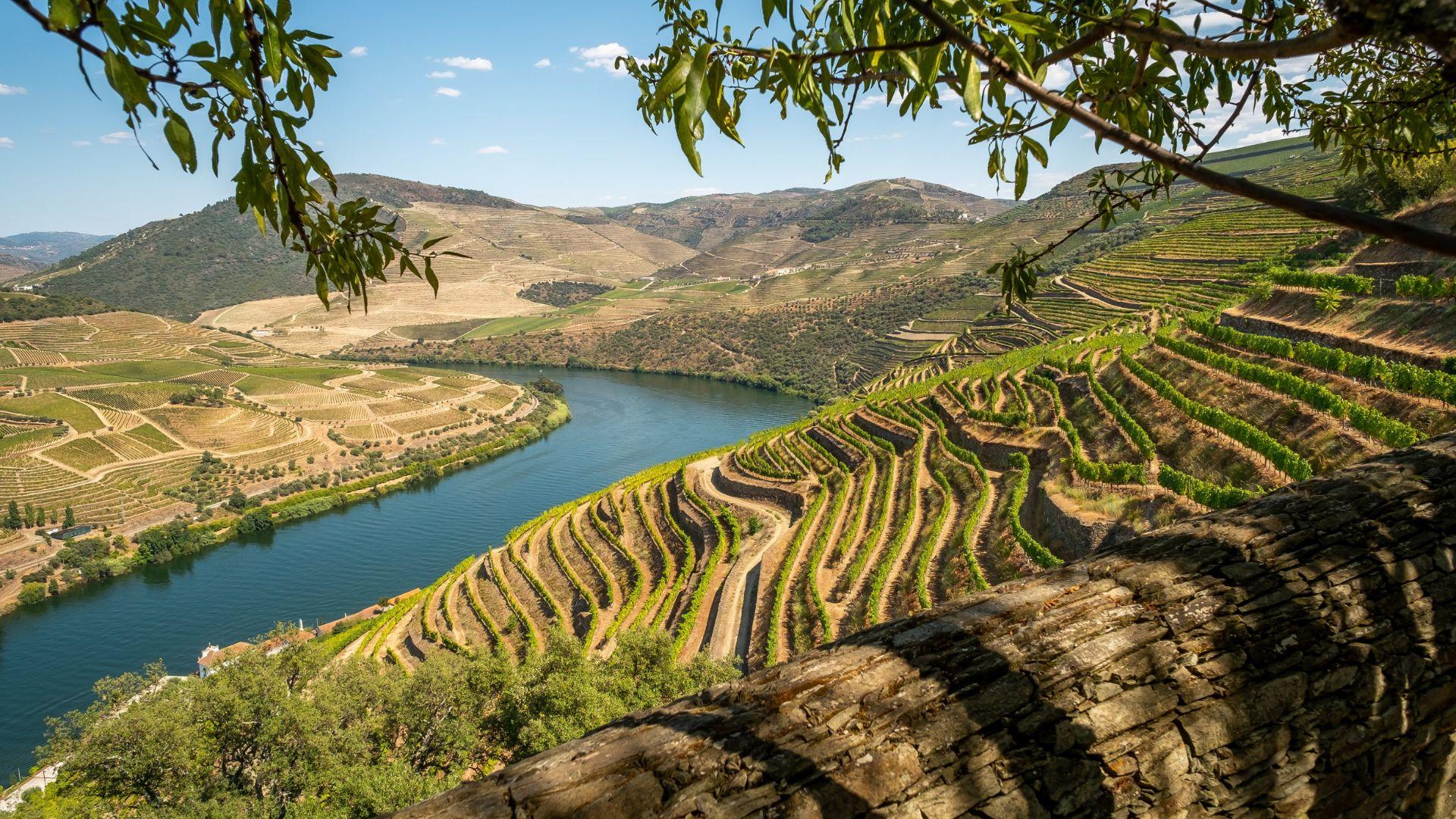 Douro Valley Small Group Tour with Wine Tastings, Lunch and River Cruise - photo 4