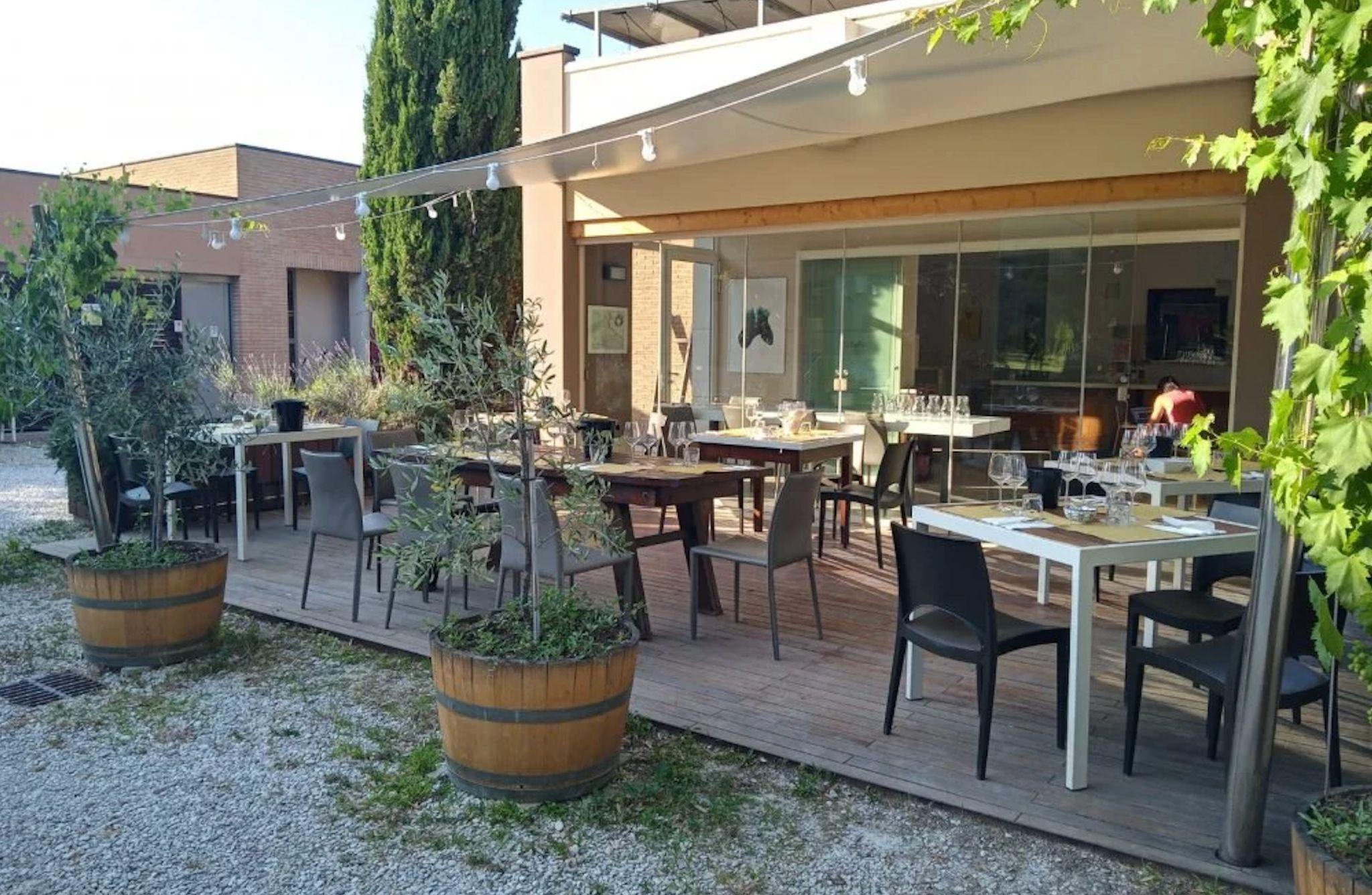 Winery Tour with Wine & Food Tasting near Riccione & Rimini - photo 3