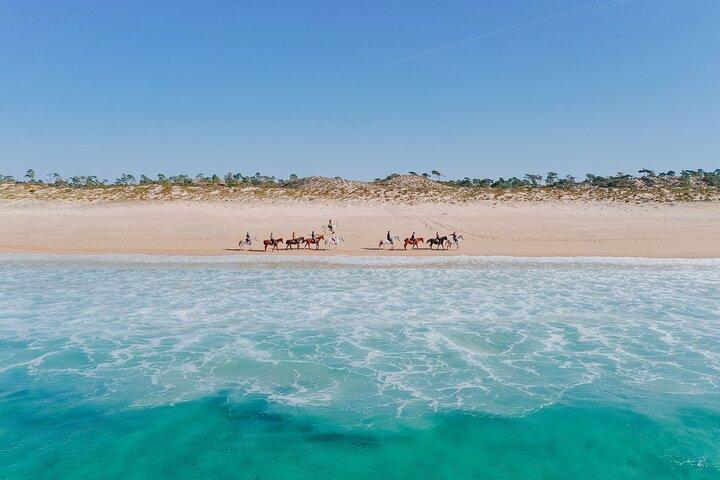 Horse Riding on the Beach with private transfer from Lisbon - cover photo