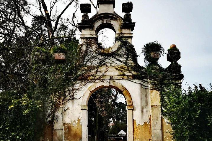 Aveiro, Costa Nova and Coimbra Private Tour From Porto - photo 3