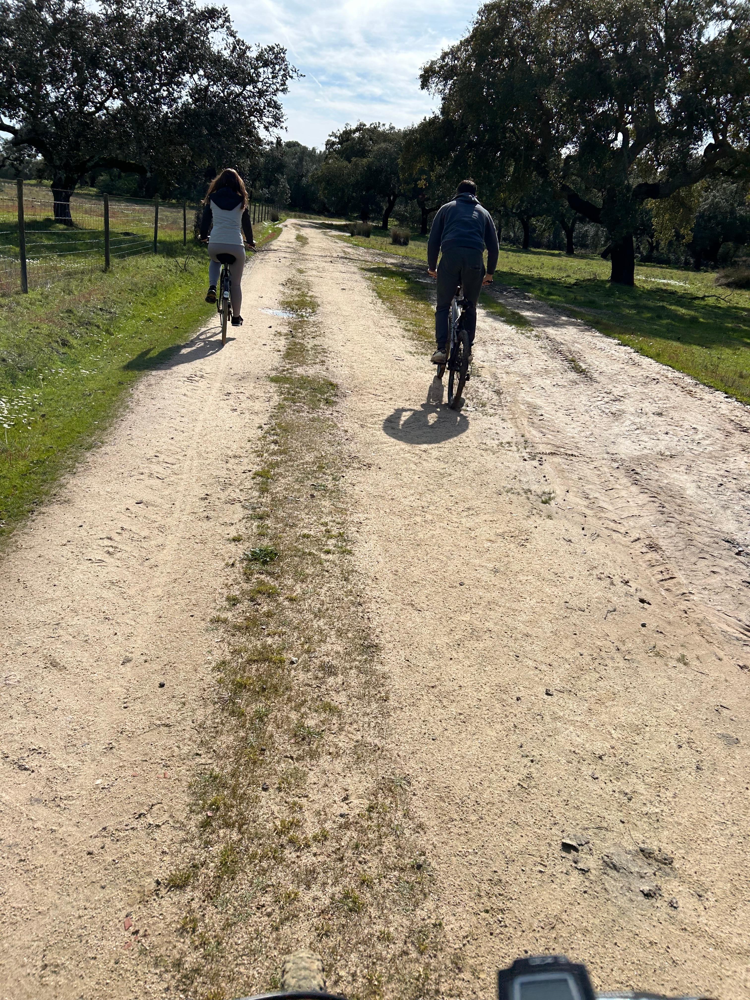 From Montemor-o-Novo or Évora: Bike Tour through the Alentejo Montado - cover photo