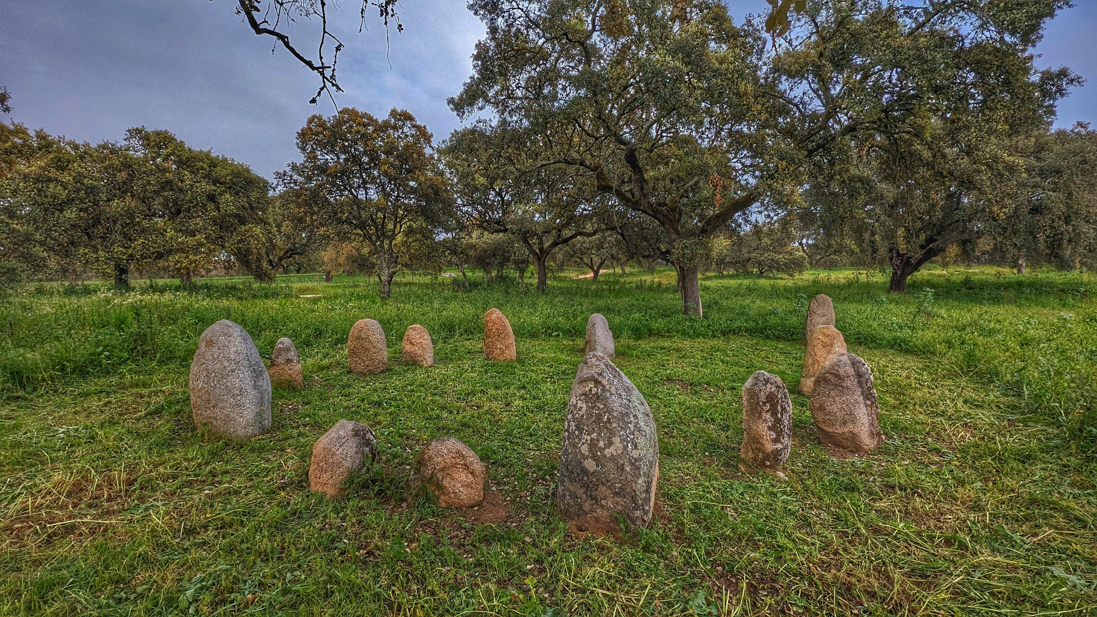Évora ou Montemor: Visita a fábrica de Cortiça e Herdade Alentejana com almoço incluído - photo 4