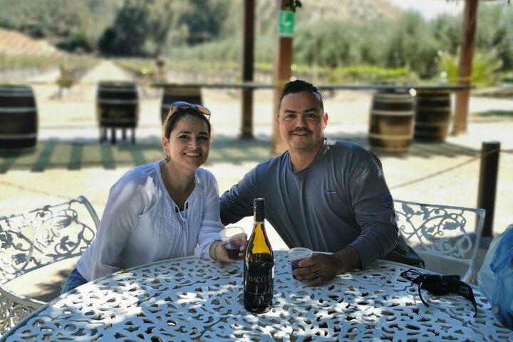 Grand Mexico Wine Country Tour from San Diego - photo 2