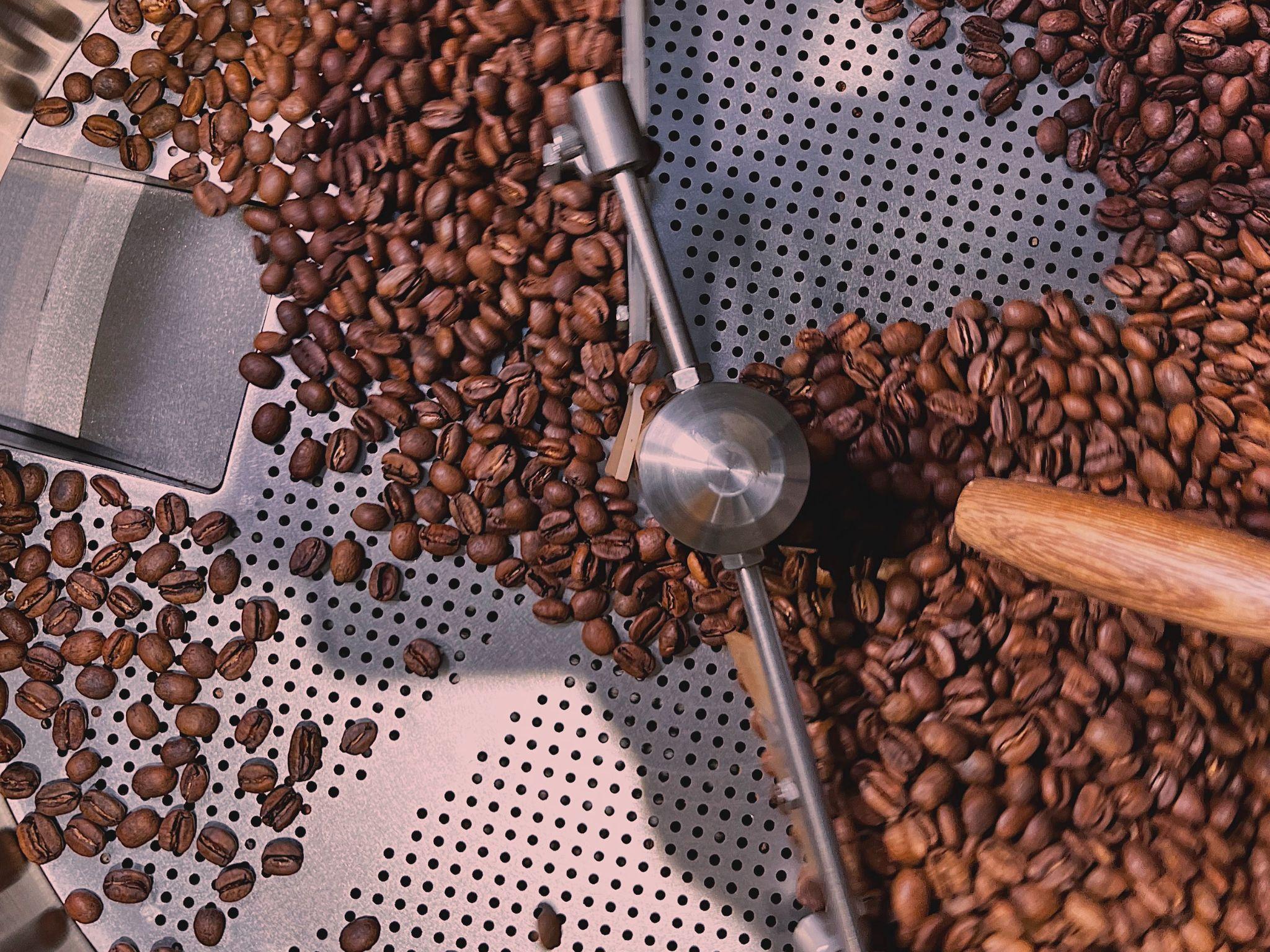 The Specialty Coffee Roastery Tasting Experience in Turin - photo 3