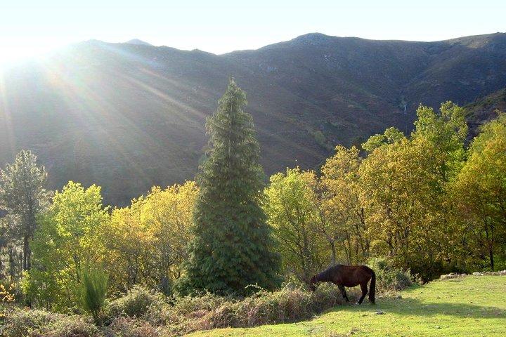 Peneda-Gerês National Park Private Tour - photo 3