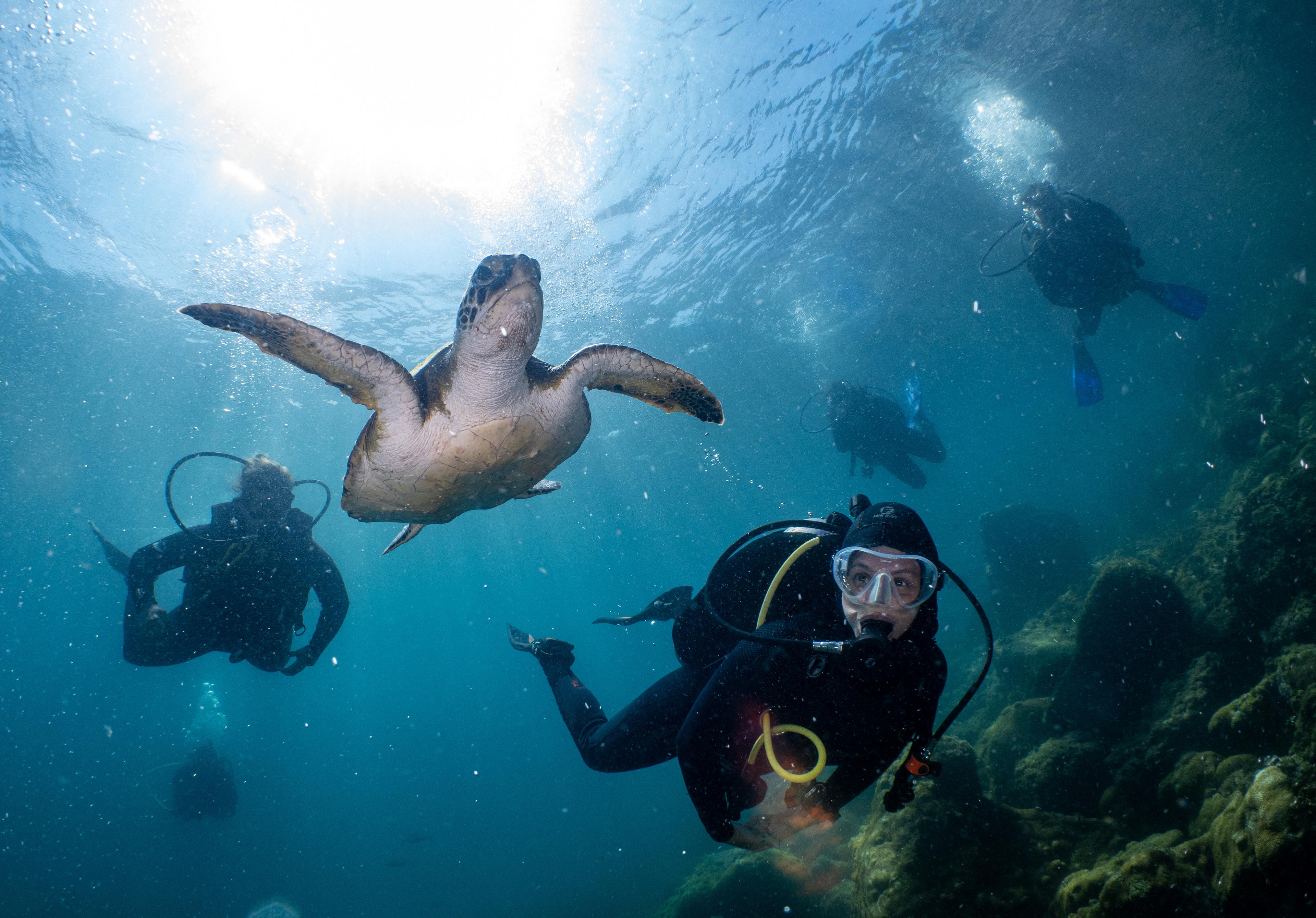 Scuba Diving Day Trip from Rio to Crystal Clear Waters - photo 4