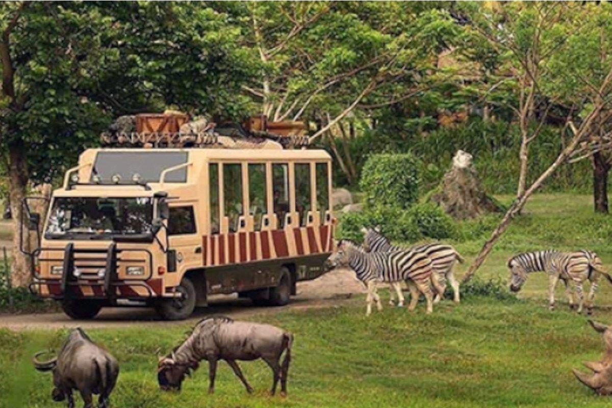 Dubai Safari Park Tour with Private Roundtrip Transfers - photo 5