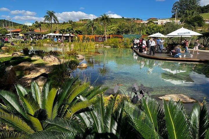 Art Of Wine – Travel Through The So-Called Wine Route Visiting Various Wineries - photo 3