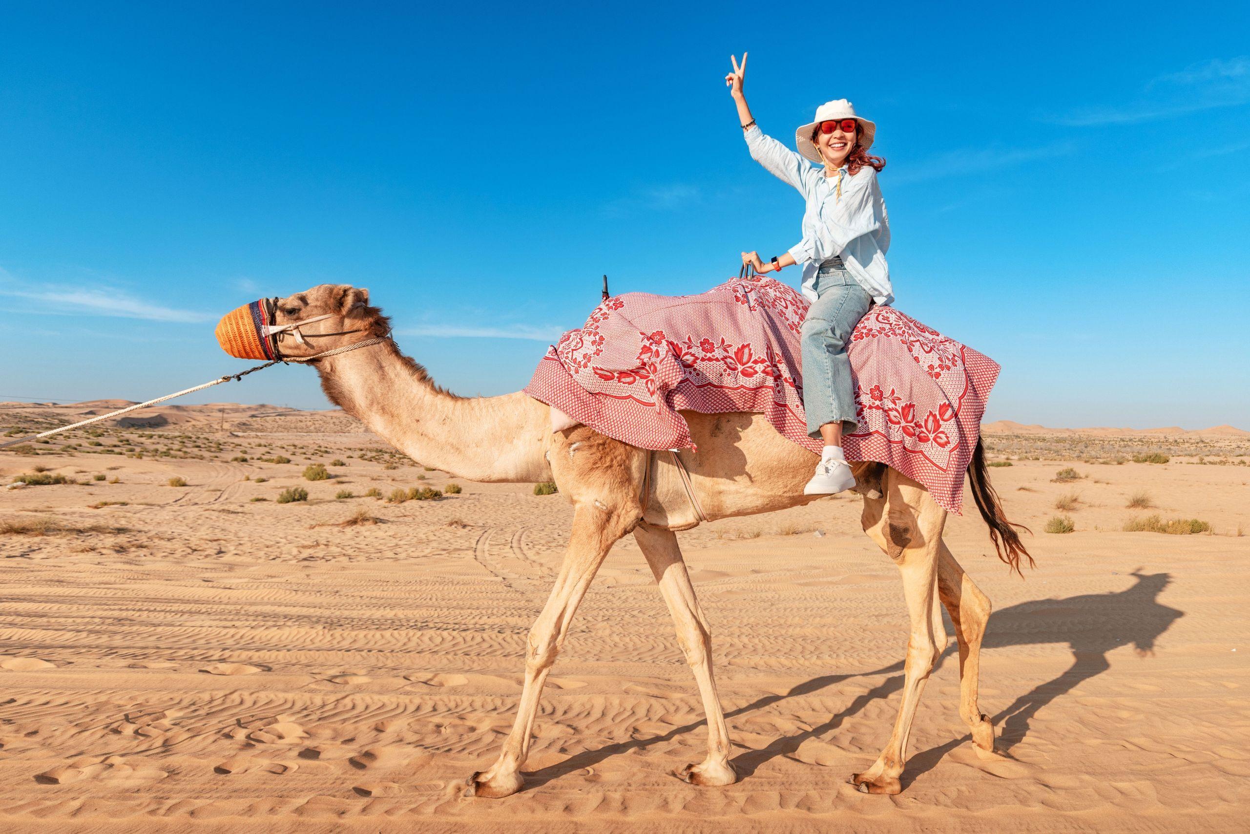 60 Min Desert Safari Sharm El Sheikh Camel Riding & Transfer - photo 5