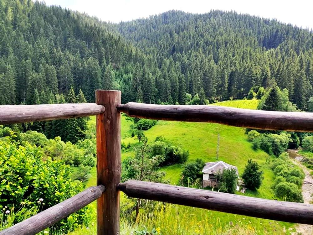 Authentic Traditions and Contemporary Science in the Rhodope Mountains - photo 3